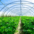 Aqua Hydroponics, Project Poly-Houses Δομή